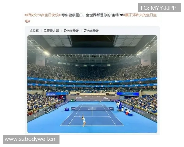 西安网球队技术争议引发热议球迷与专家各执己见探讨发展方向