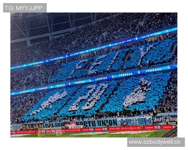 大龙足球明星最新阵容揭晓球迷期待新赛季精彩表现 大龙足球明星最新阵容揭晓球迷期待新赛季精彩表现