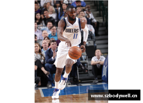 NBA第33号球星：风采与传奇绽放