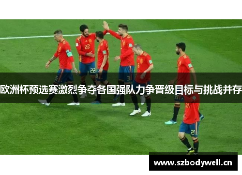 欧洲杯预选赛激烈争夺各国强队力争晋级目标与挑战并存