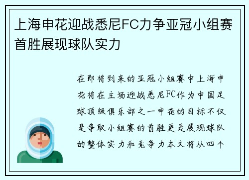 上海申花迎战悉尼FC力争亚冠小组赛首胜展现球队实力